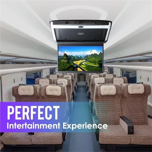 Car Roof Monitor - 12.5 inch