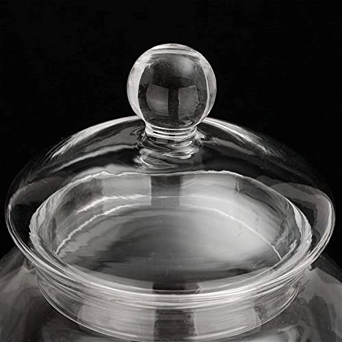 Percolator - 480mL/600mL Stainless Steel Heat-resistant Glass