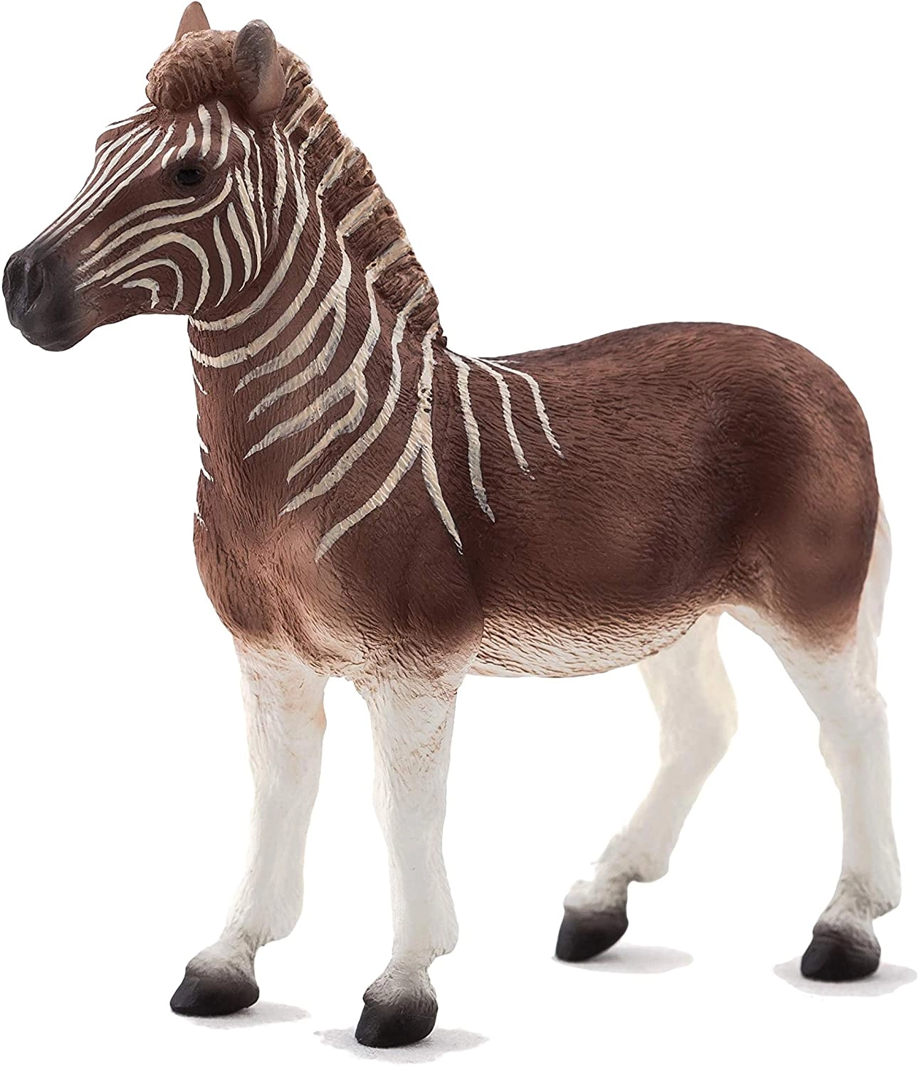 Play and Dream Mojo Quagga