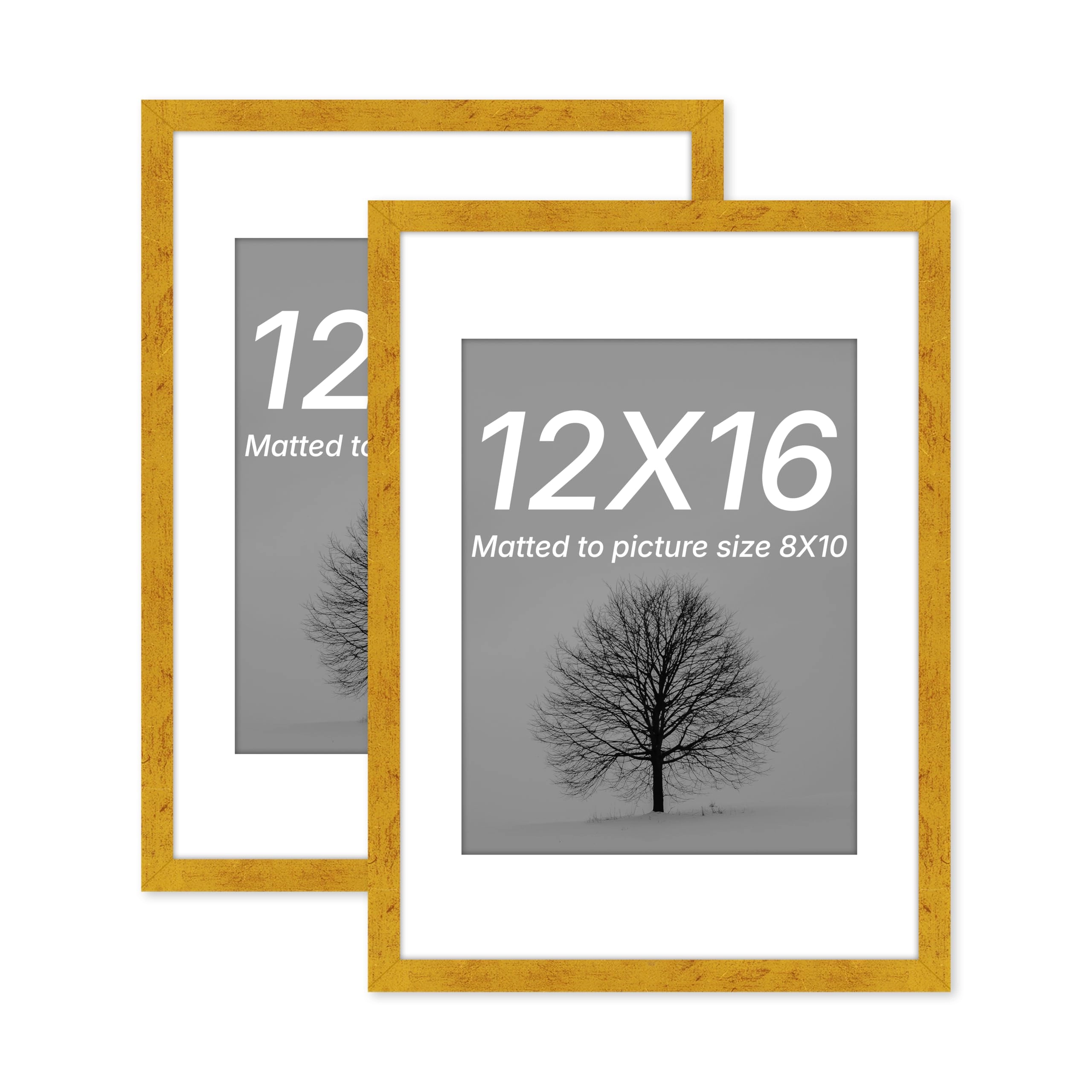 Document Frame - 12x16 Inch