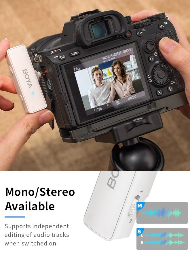 mini-15 Wireless Microphone