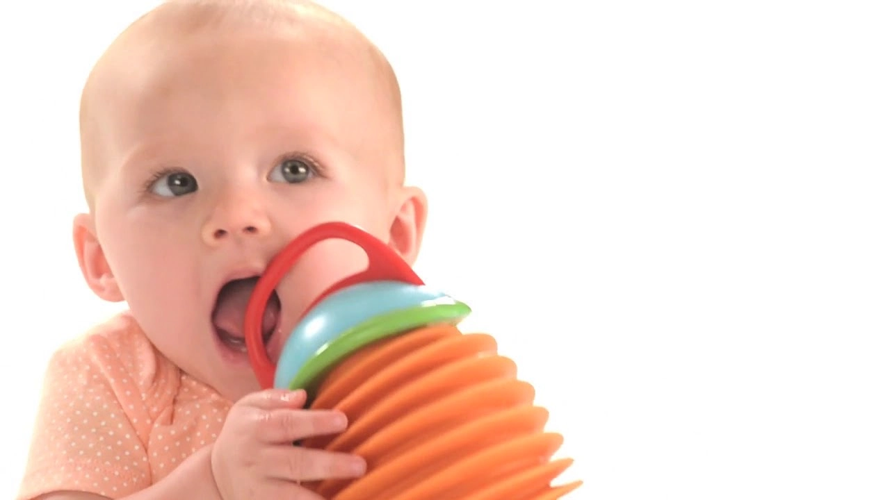 Explore & More Accordion - 3 month(s)