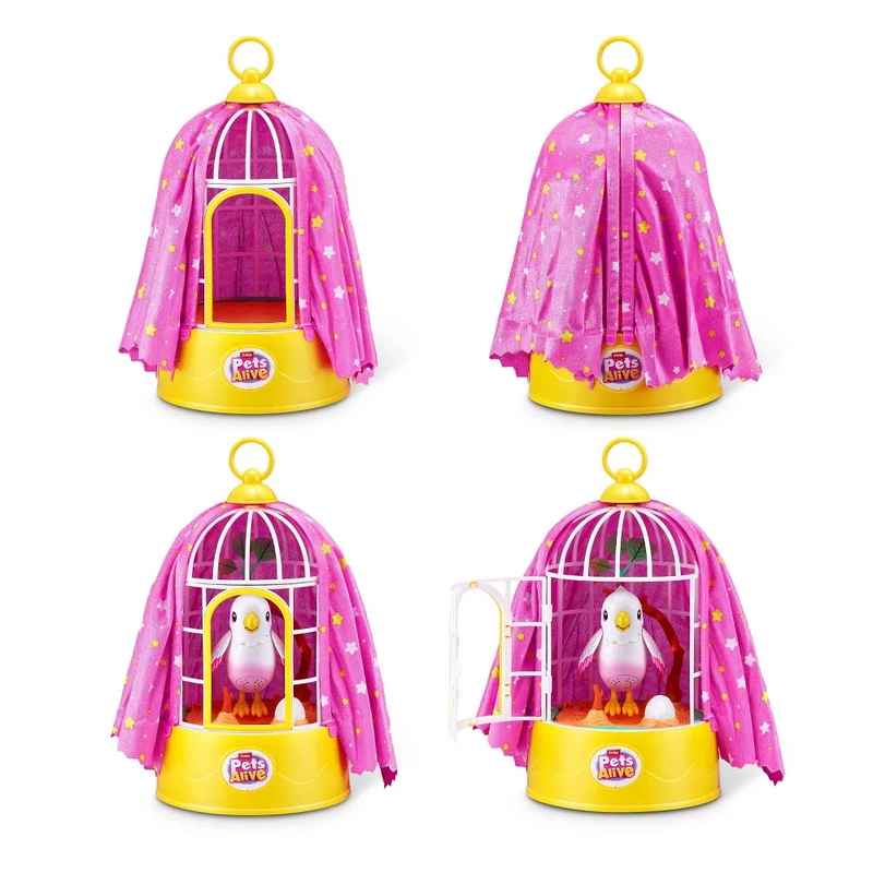 Polly The Magic Bird