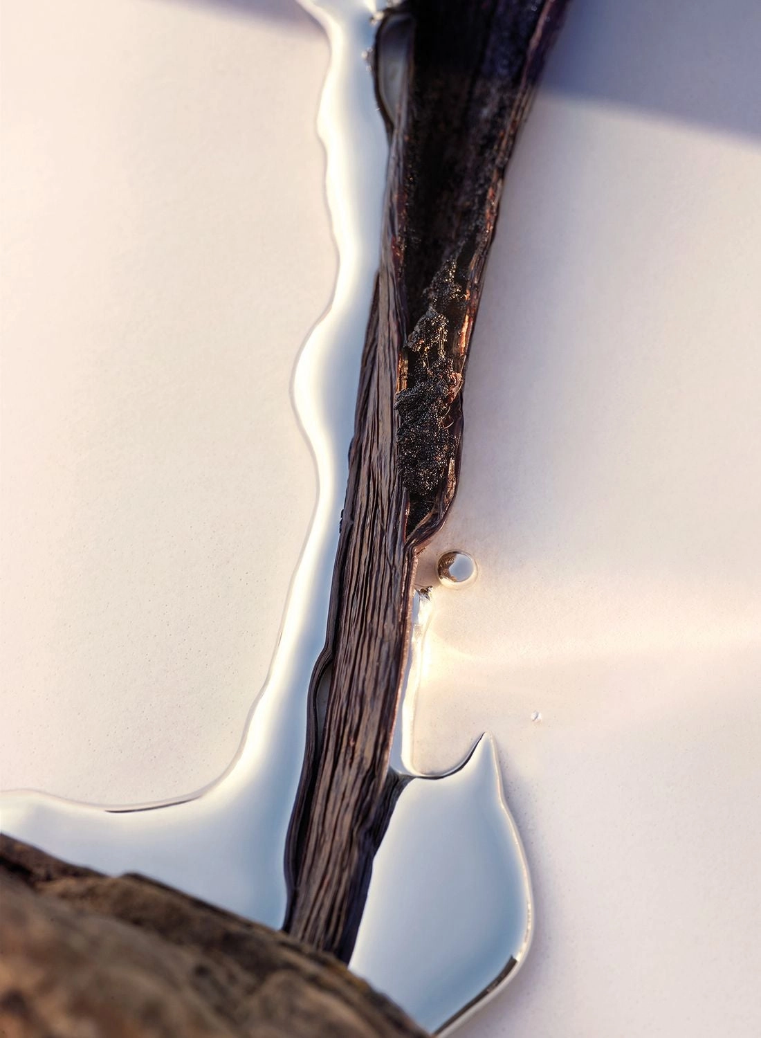 Alive For Her Eau de Parfum 50ml