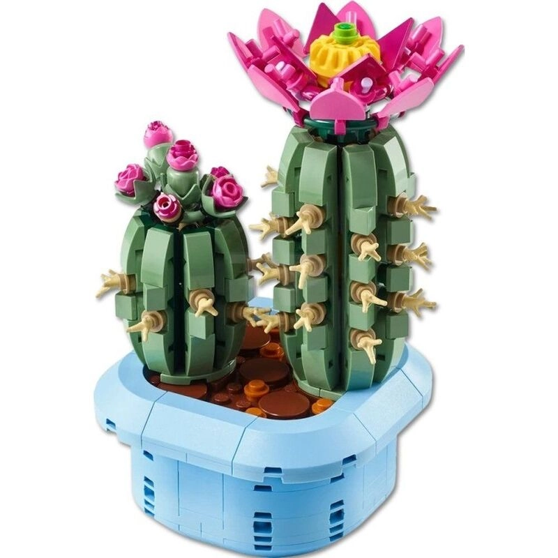 Flowering Cactus (11509)