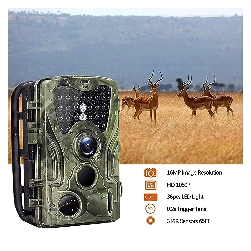 Wildlife Hunting Camera - 5MP