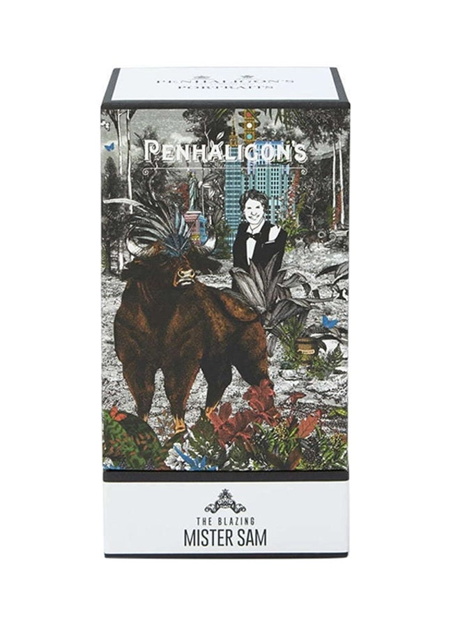 Blazing Mister Sam - Eau de Parfum 75ml