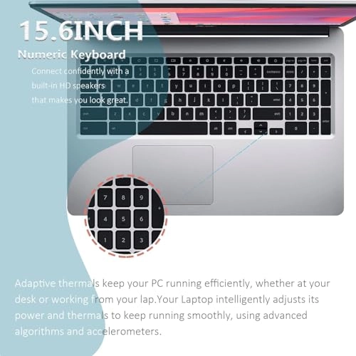 Chromebook 315 CB315-3H-C69K - 15.6'' Celeron N4020 4GB DDR4 64GB eMMC