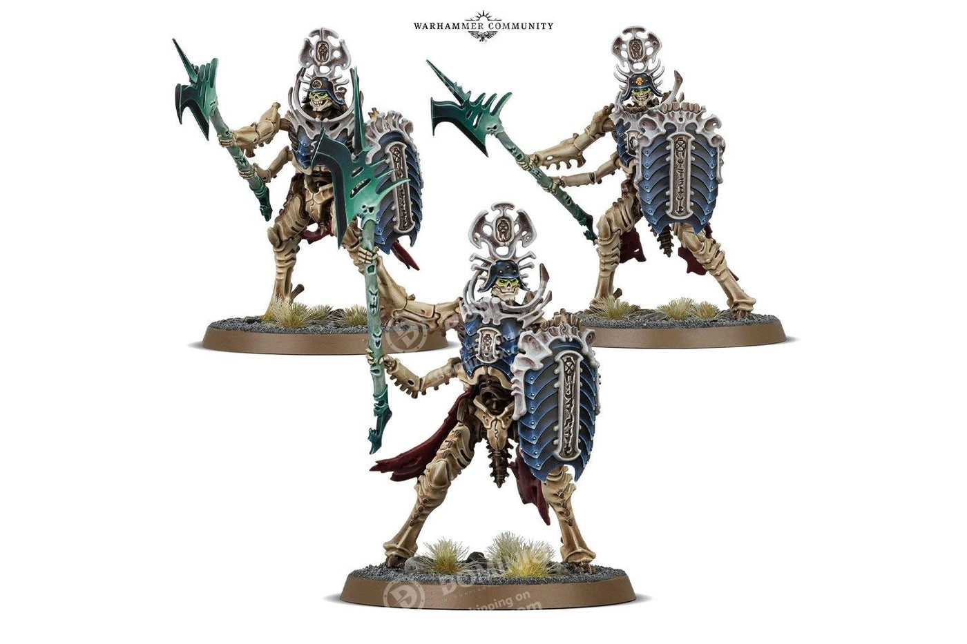 Warhammer Age of Sigmar: Ossiarch Bonereapers Necropolis Stalkers