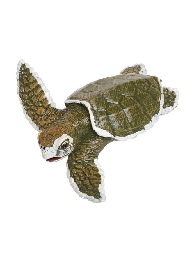 Safari Ltd Kemp's Ridley Sea Turtle