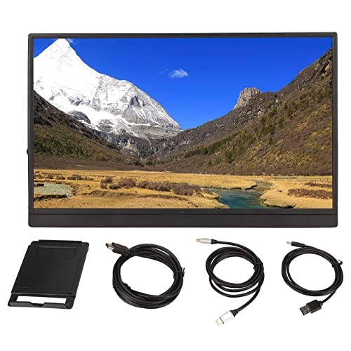 Portable Monitor - Full HD 17.3 inch