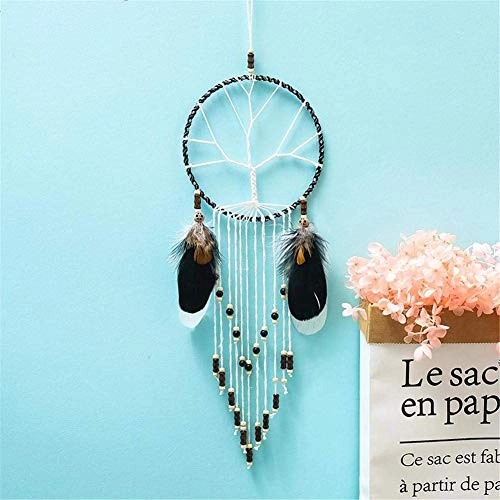 Dreamcatcher - Siderosphere, feathers, lines, wood beads.