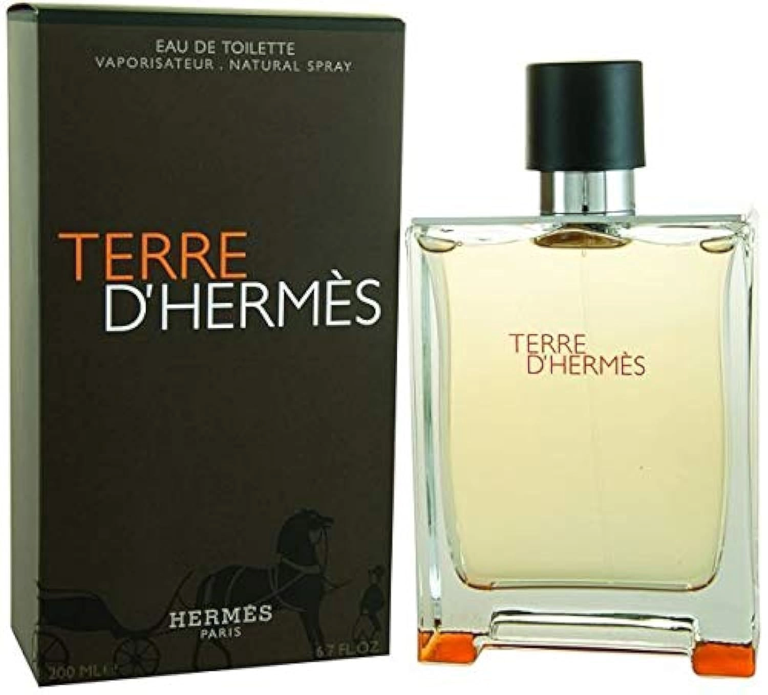 Terre D' Hermes Eau de Toilette 100ml