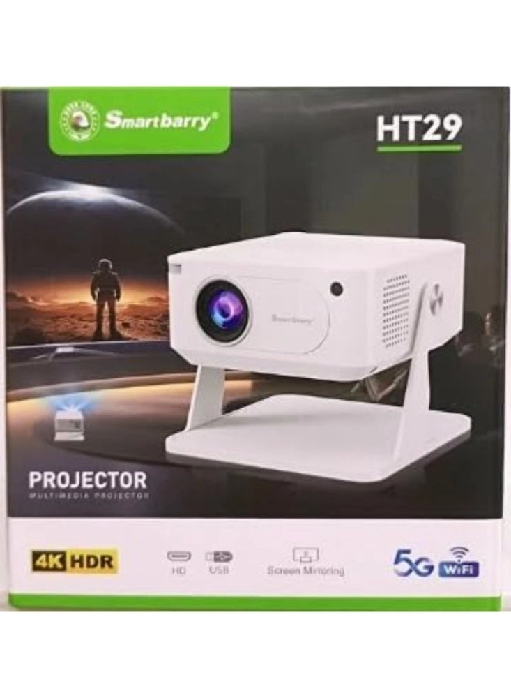 Smartberry HT29 - 4K