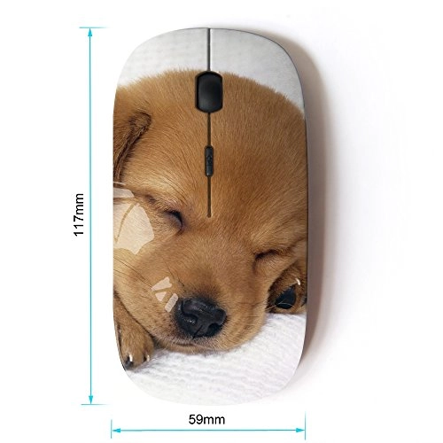 Optical Mouse - Wireless