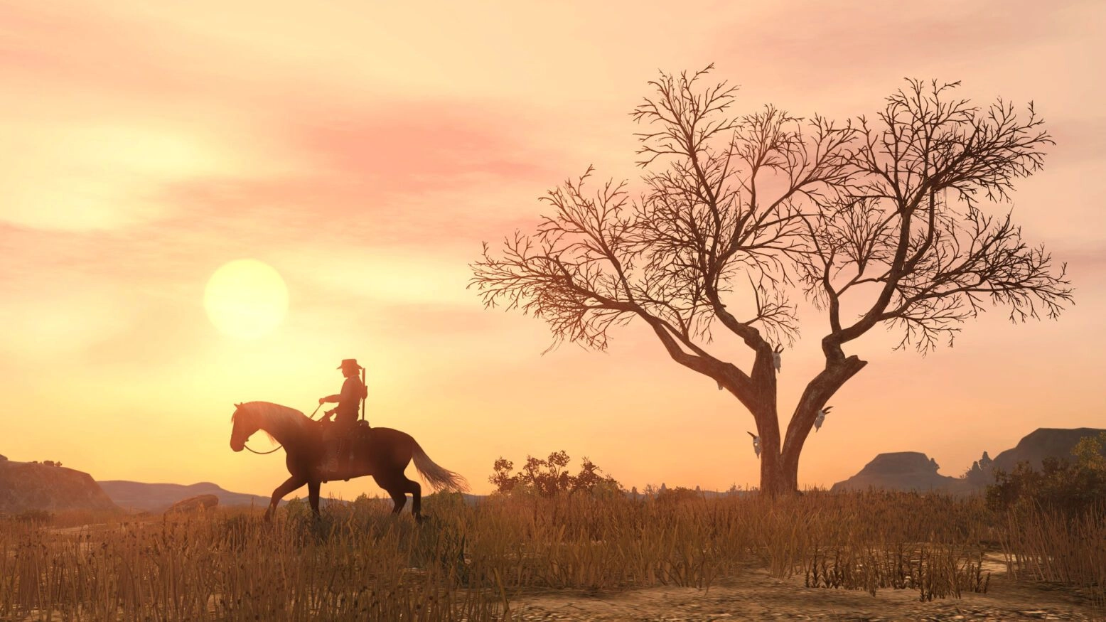Red Dead Redemption - PlayStation 4
