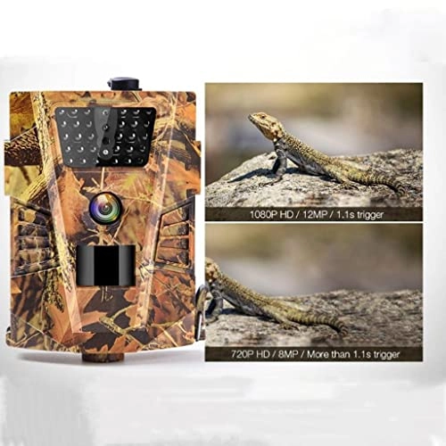 Wildcamera - 12MP