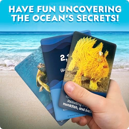 Ocean Animal Trivia Game - 6 years and up