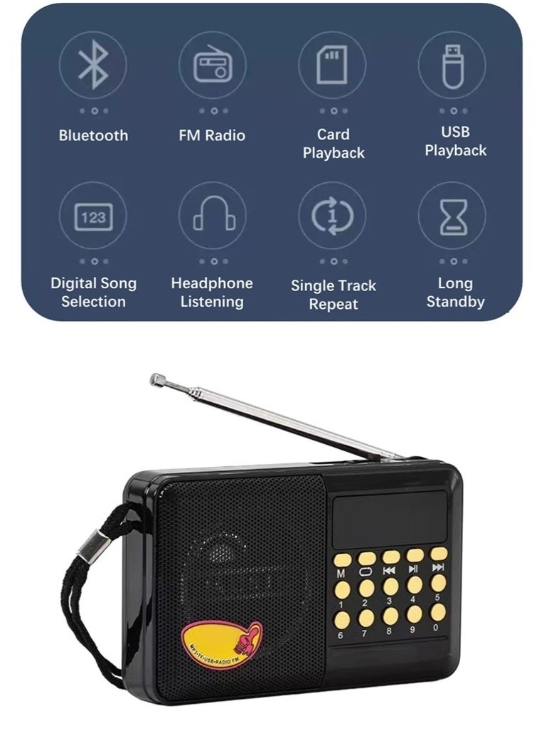 Multiband Radio - Portable