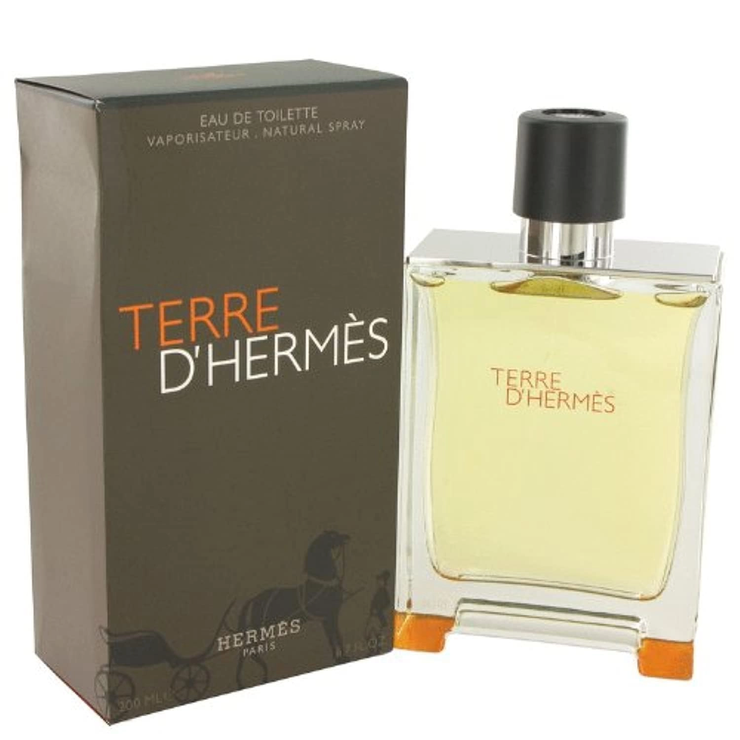 Herms Terre D' For Men Eau de Toilette - 200 ml