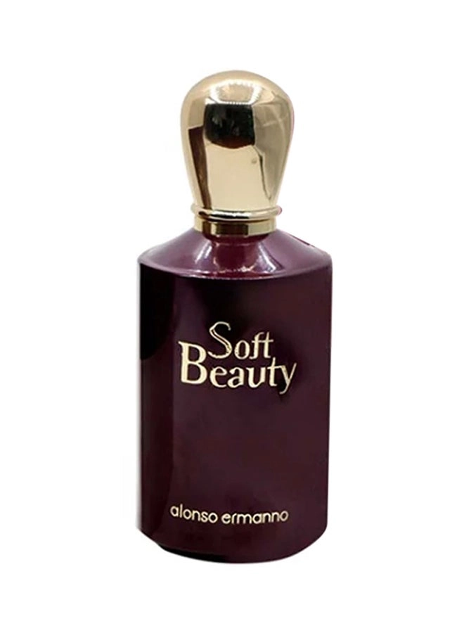 Alonso Ermanno Soft Beauty Eau de Parfum 100 ml