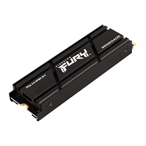 FURY Renegade - 1000GB M 2