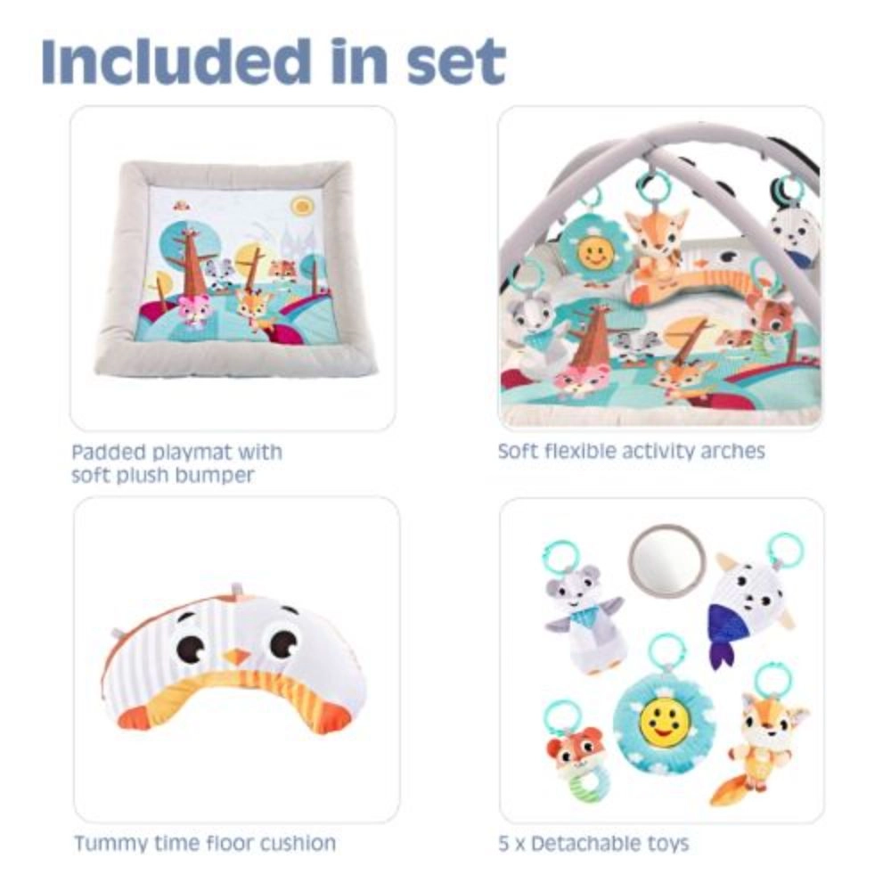 Baby Play Mat Activity Gym - 0 month & above