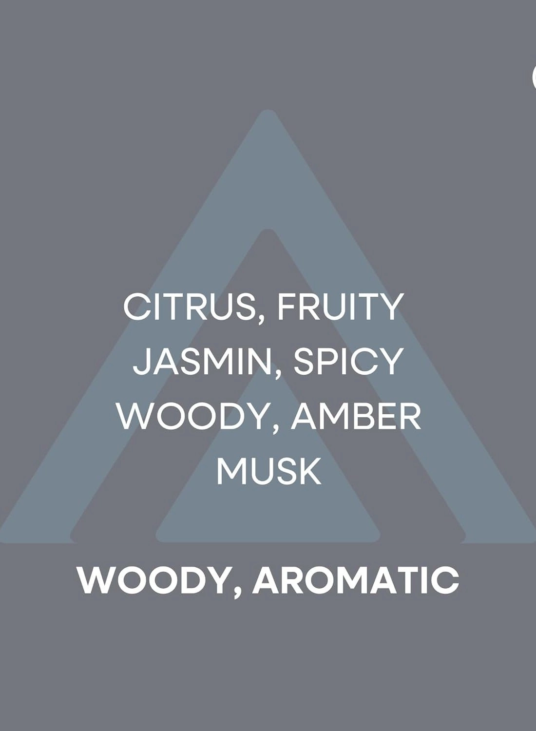 Silver Sport - Eau de Parfum 90 ml