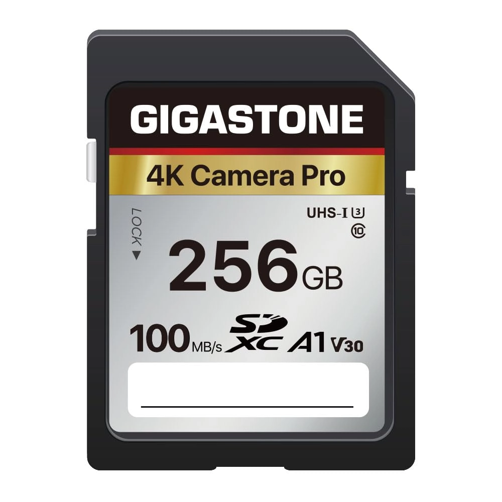 Gigastone SDXC Memory Card - 256GB + Mini Case