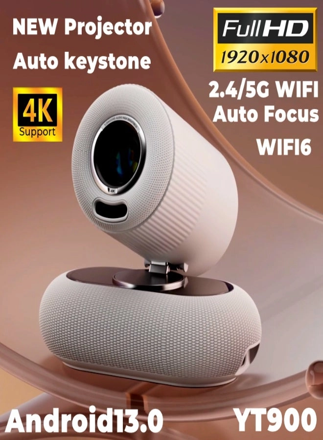 HY300 200 ANSI lumens