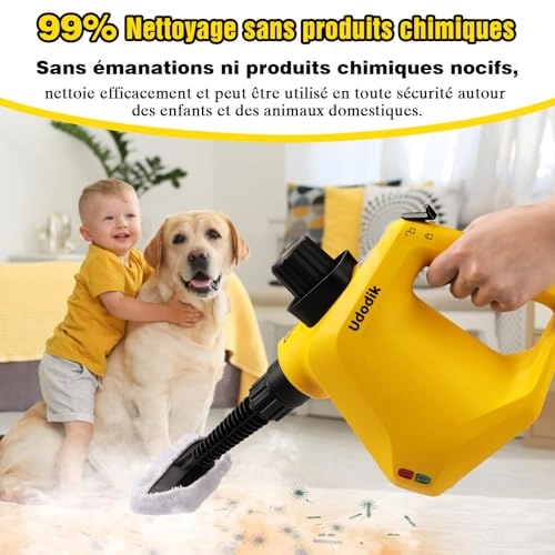 Handheld Steam Cleaner - 350 Milliliters