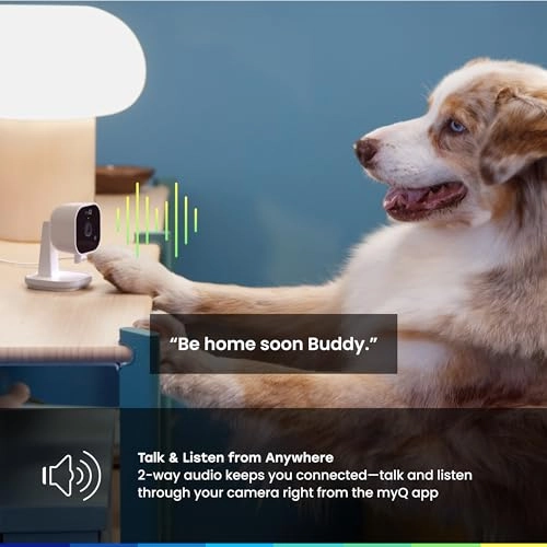 myQ Indoor Plug-in Security Camera Gen 2