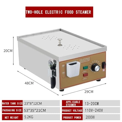 Electric steamer