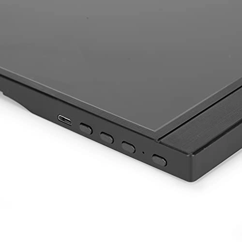 Portable Display - 1600 x 900 17.3-inch