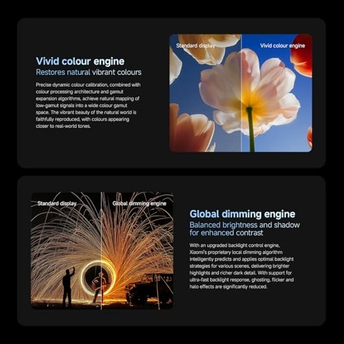 S Mini LED - 55 inch