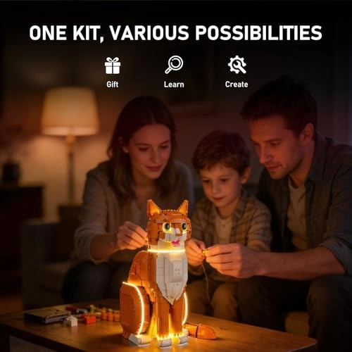 Orange Cat (21376)