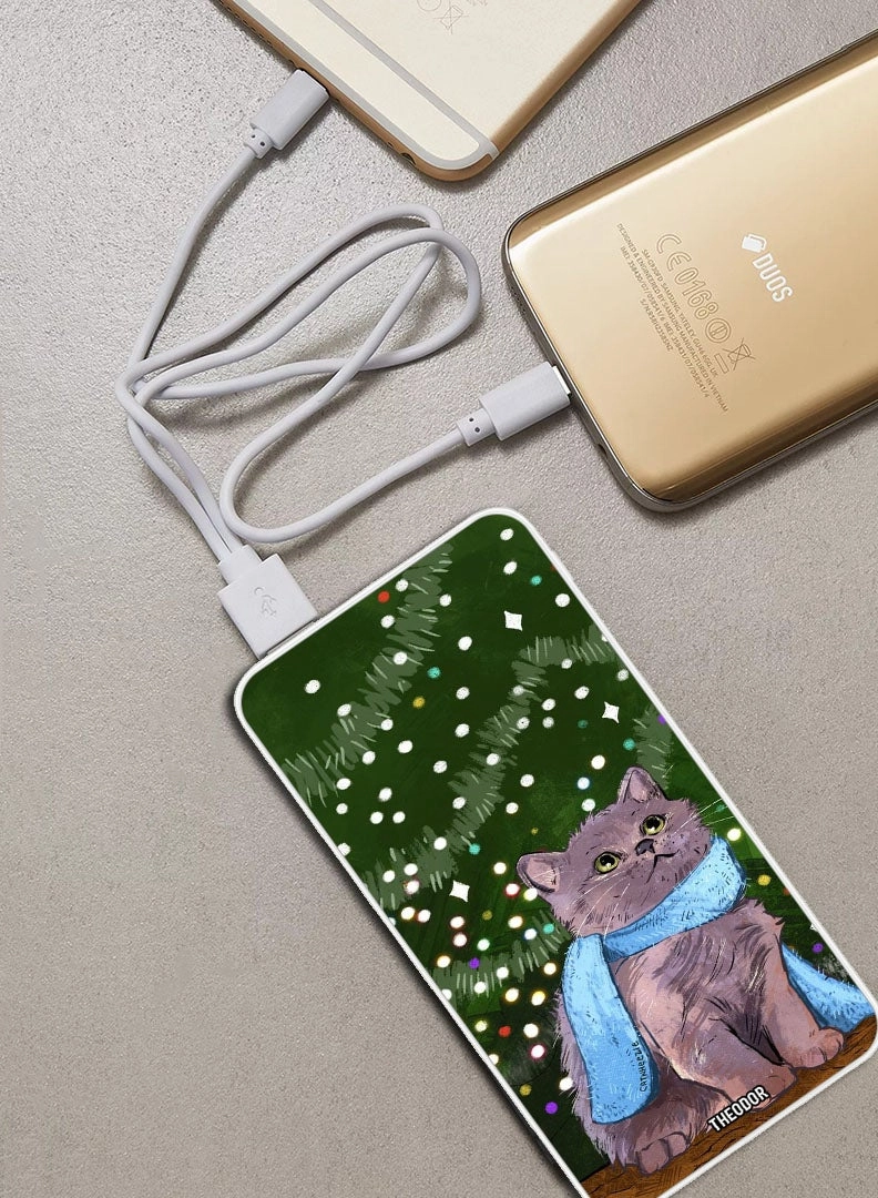 PPBA116 - 10000mAh 18W