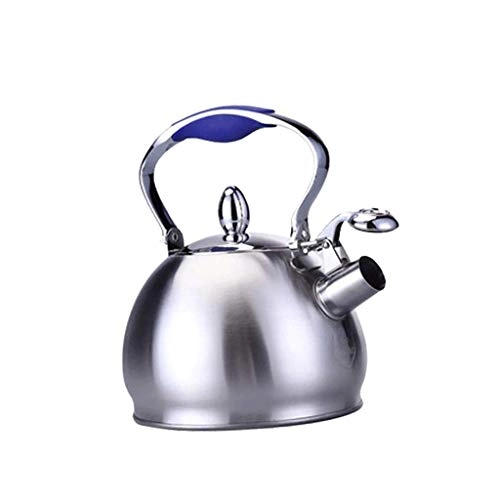 Stainless Steel Kettle - 2.5L