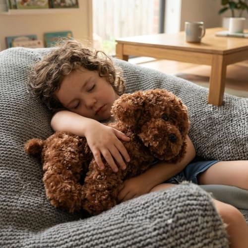 Labradoodle - 32 cm