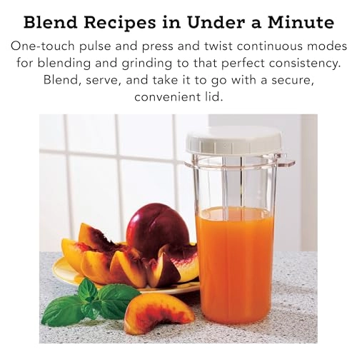 PB250XLA - Kitchen Grinder Personal Blender White