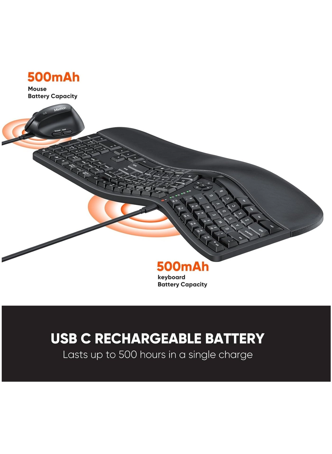 Director-C - English/Arabic Wireless