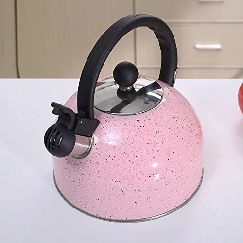 Stainless Steel Kettle - 2.5L