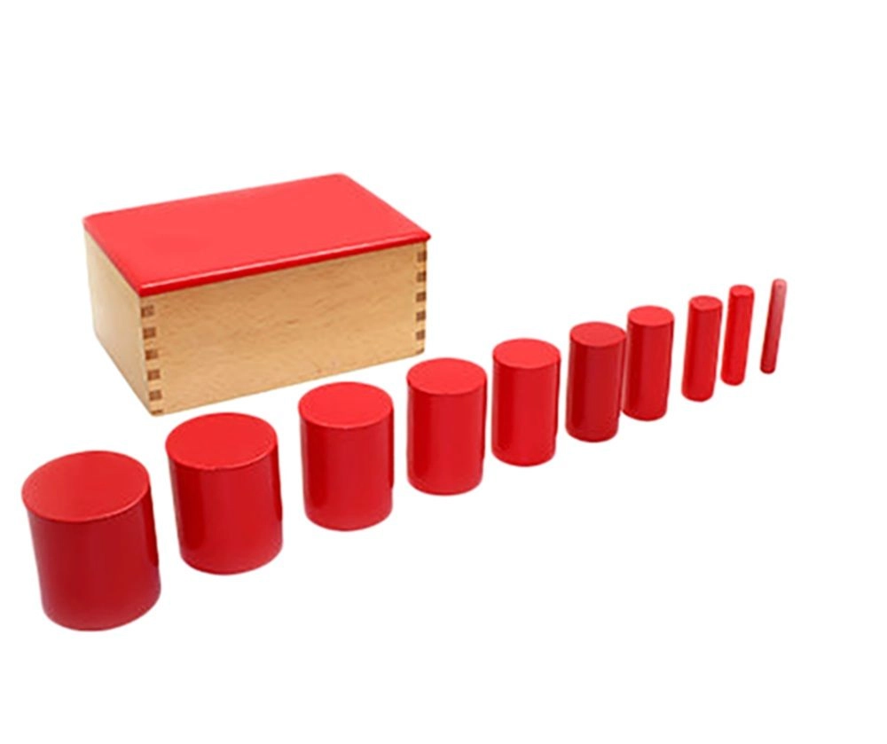 Edu Fun Knobbles Cylinder Model 2 - Suitable for 2 years and above