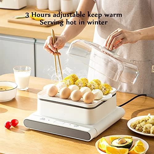 Electric Steamer - 20 Liters