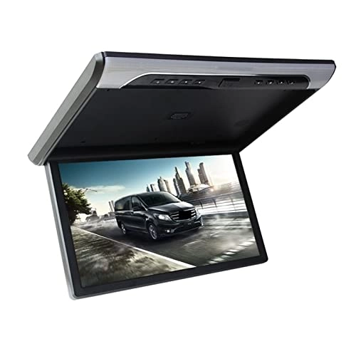 Car Screen - 19 inch