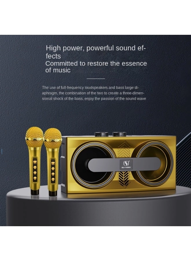 M25 - Wireless Bluetooth Karaoke System