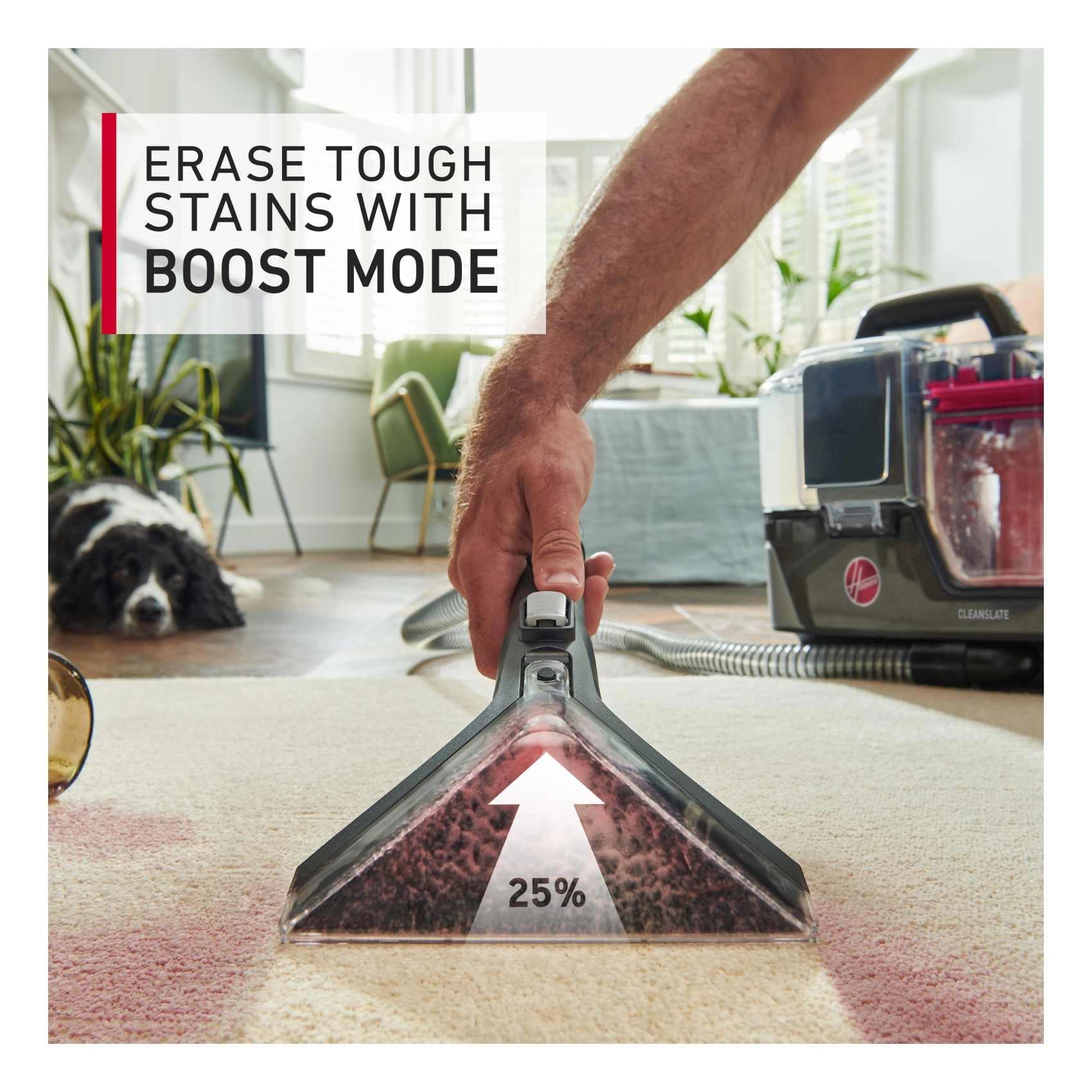 Cleanslate - Wet & Dry 430 W