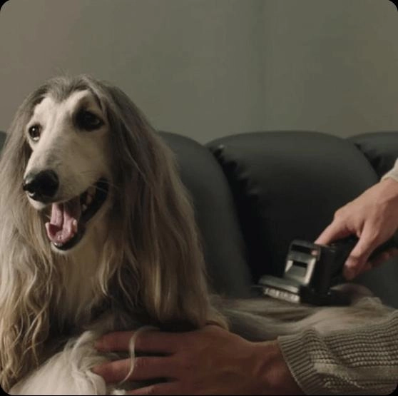 Z30 - Stick Vacuum Cleaner