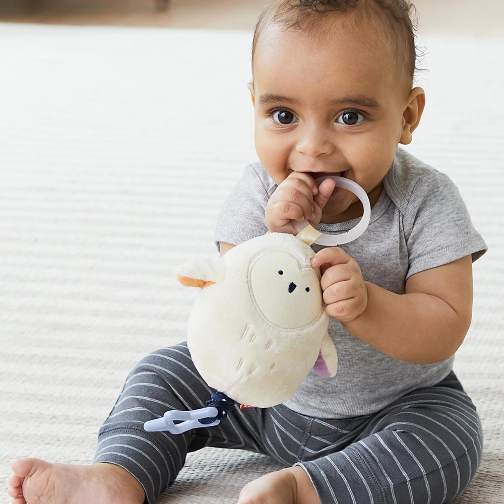 Jitter Owl - 0 month(s)