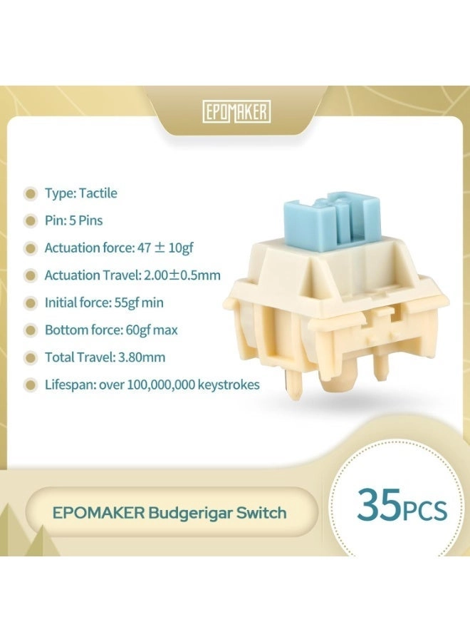 Budgerigar - 35 Pieces